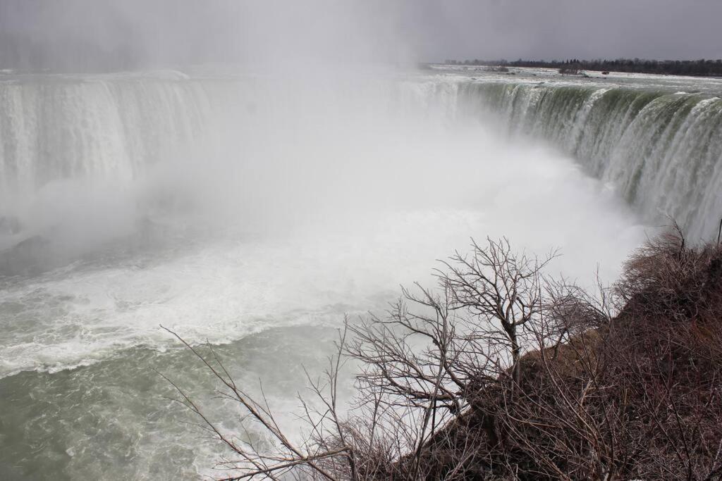 Niagara Skyline Park And Walk To The Falls & Wonderful Free Breakfast Deliverd Daily To The Rental Exterior photo